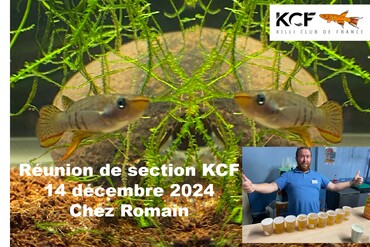 Grand Banquet de Fin d'Année pour la section KCF Rhône Alpes