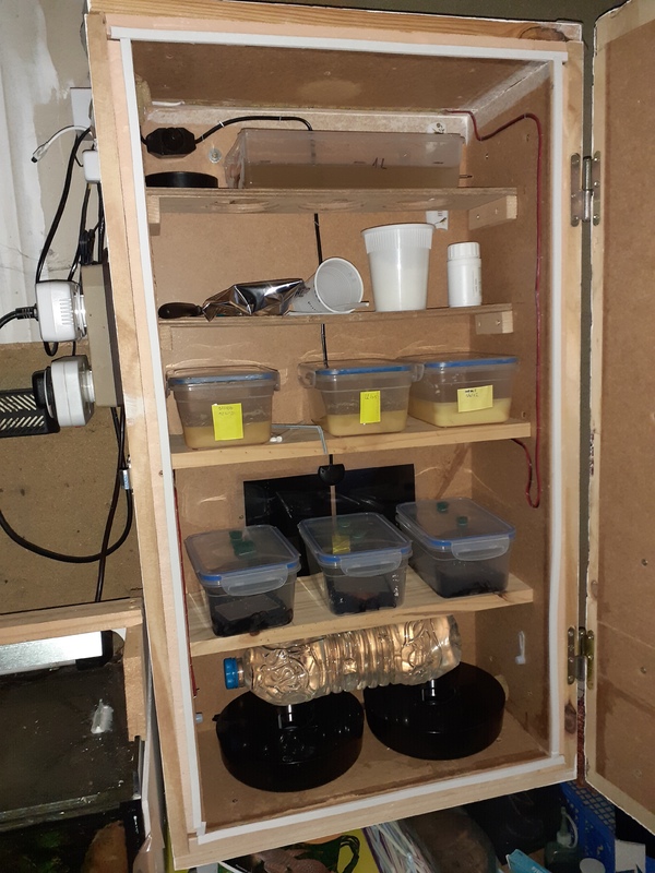 Armoire à nourriture vivante